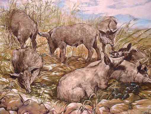 wandmalerei wildschweine